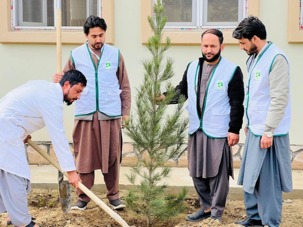 The Organization for Development of Economic, Social, and Capacity Building (ODESC) carried out a tree plantation initiative at Faryab Provincial Hospital as part of its commitment to environmental sustainability and community well-being.